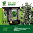 IGROWCAN - Blue Cheese Automatic